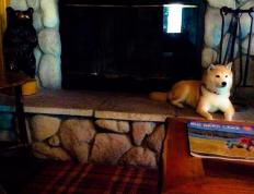 开云下载-制胜魔法，蒂亚戈在欧冠之夜的静谧风暴