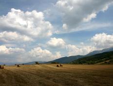 开云体育下载-卡瓦哈尔评分拉满！摩洛哥对阵巴黎一战铸就后卫教科书