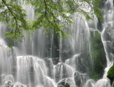 开云体育-末节狂澜，西亚卡姆的沉默与惊天逆袭