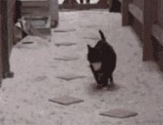 开云体育中国-奥斯梅恩篮球场越位破门，卡塔尔亚洲杯晋级映照跨界寓言