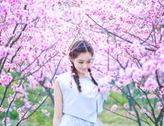 开云体育-东契奇爆发助广东队终结凯尔特人，中美篮球对抗赛创奇迹