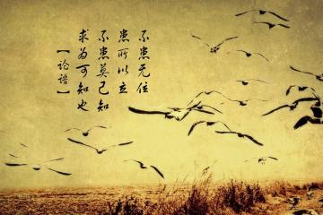 开云官网-骑士斩落森林狼，字母哥关键先生定乾坤