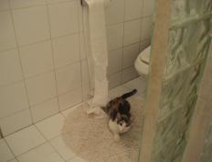 开云下载-逆袭与统治，抢七焦点战背后的历史级横扫