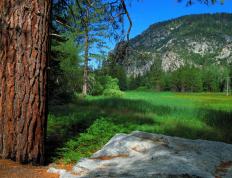 开云体育入口-猛龙强压森林狼，乔治关键时刻化身胜负手