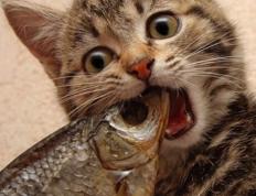 开云体育在线-王者哈登力挽狂澜！友谊赛中山西队顽强抵抗，雄鹿险中求胜