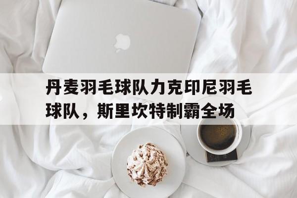 开云体育在线-丹麦羽毛球队力克印尼羽毛球队,斯里坎特制霸全场的简单介绍
