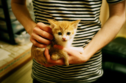 开云体育登录-三笘薰用魔术脚步征服英超，雷恩用钢铁防线书写欧战诗篇，足球的两种伟大叙事