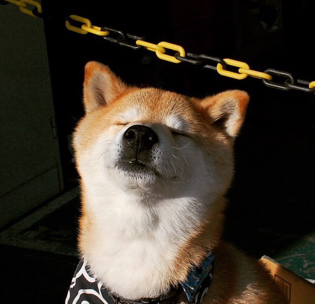 开云下载-德罗赞末节狂飙19分，步行者一波流逆转森林狼