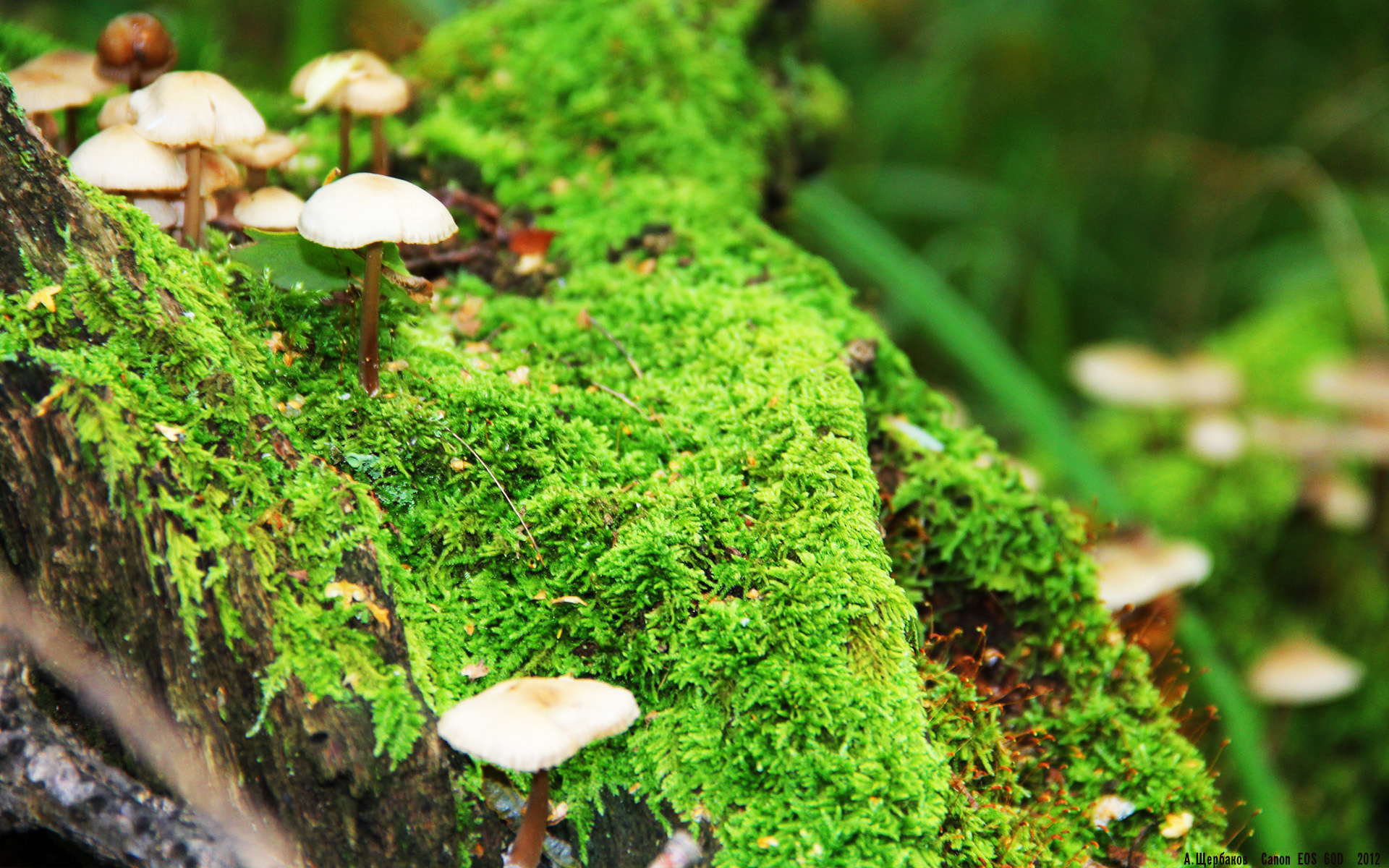 开云体育下载-决胜时刻，一锤定音，贝恩关键回合的冷酷与担当