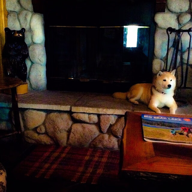 开云下载-制胜魔法，蒂亚戈在欧冠之夜的静谧风暴