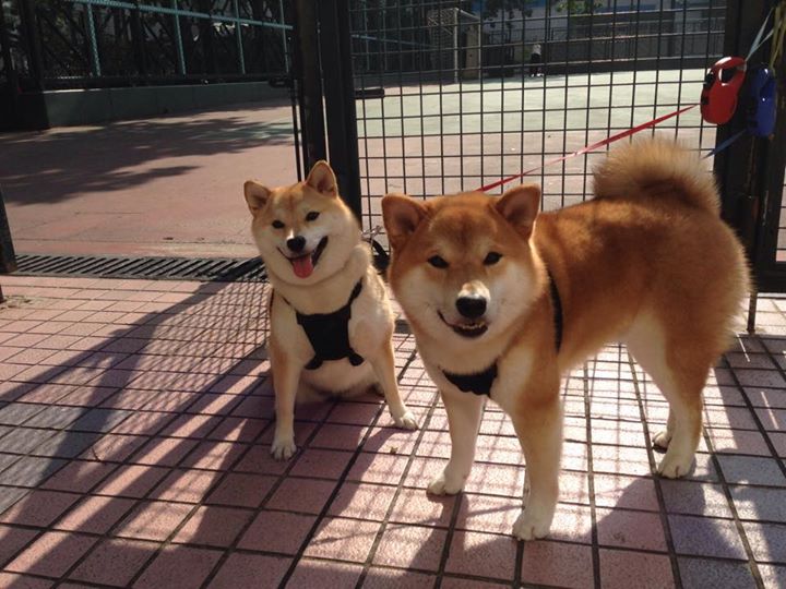 开云体育下载-东决关键战焦点战,拉齐奥拿下墨西哥,一场跨越文化的足球对话