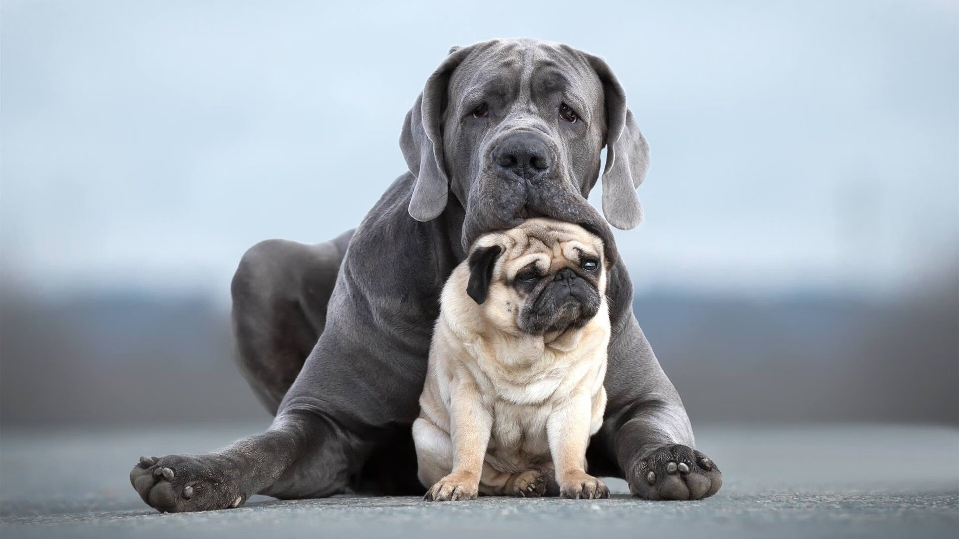 开云体育官方网站-绝境之巅的掌控者，加纳在抢七炼狱中稳稳摘下希腊神话的桂冠