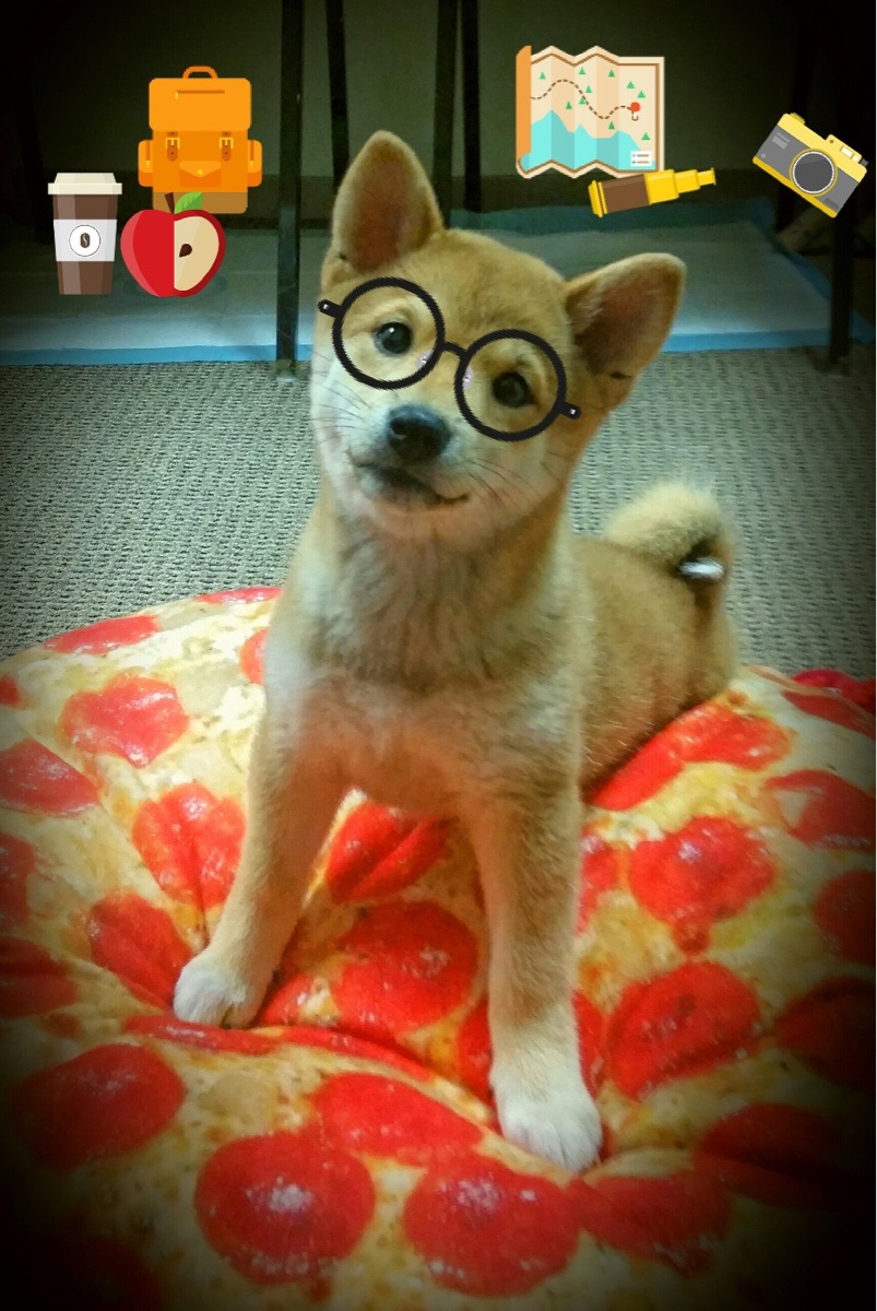 开云体育APP下载-欧冠试金石，当阿森纳的枪口指向西班牙，久保建英的硬仗之王本色如何闪耀？