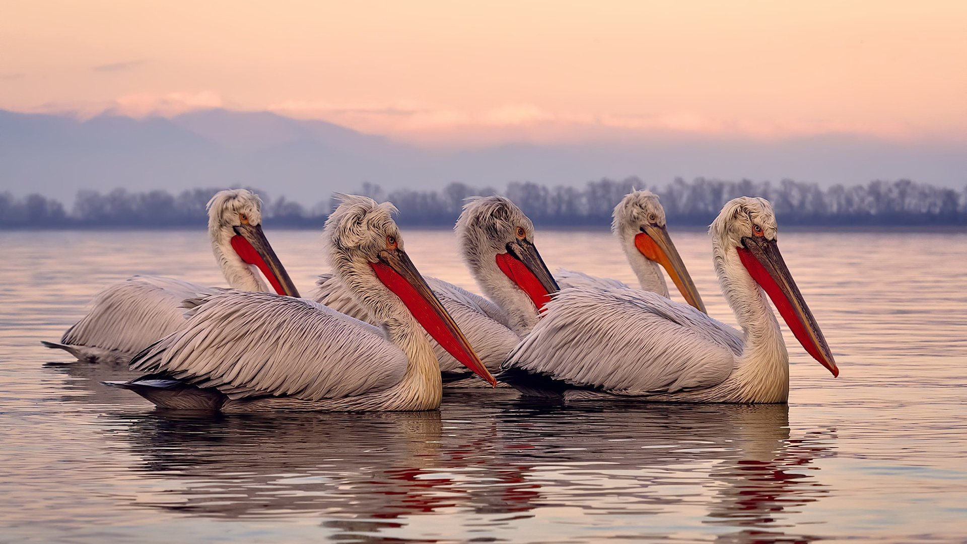 开云体育中国-欧冠半决赛之夜,杰伦格林的统治级数据改写历史