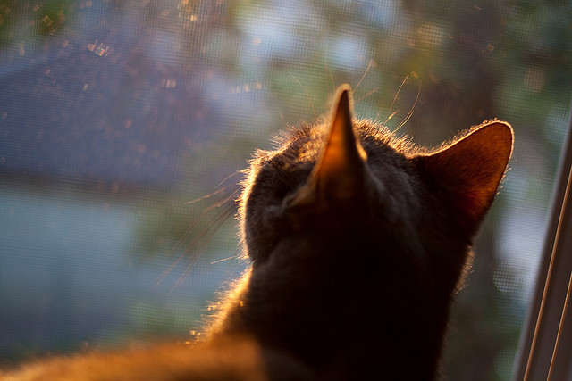 开云体育官网-铁蹄踏碎十字盾—格列兹曼闪耀马赛大胜瑞士劲旅