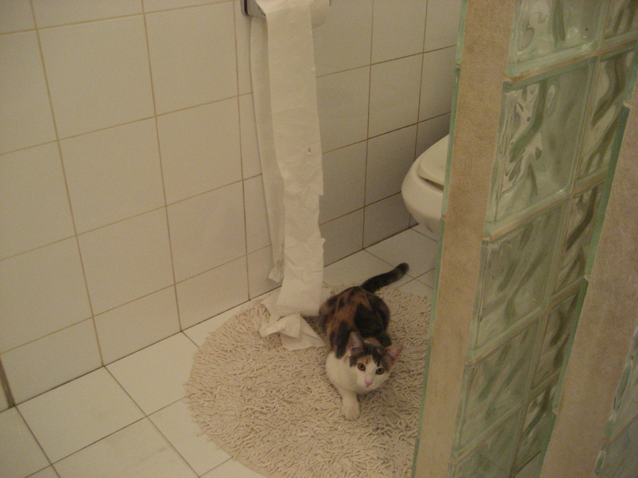 开云下载-钢铁洪流冲垮亚特拉斯雄狮—格纳布里掌控下的比赛走势艺术