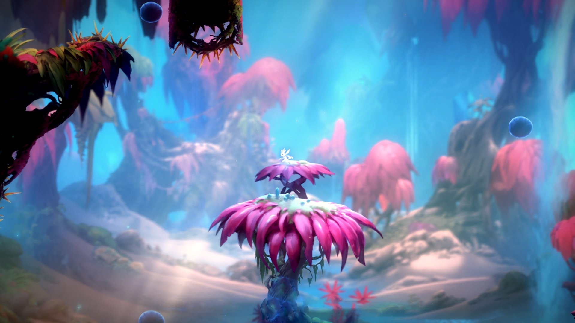 开云体育入口-奇才收割公牛，莫兰特关键战接管比赛，篮球世界的双重奏鸣