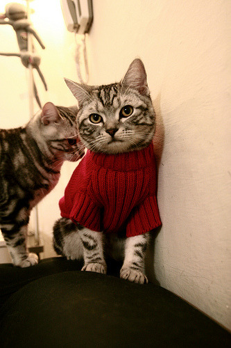 开云下载-当锋线巨星化身防守铁闸,莱万与勒沃库森的战术启示录