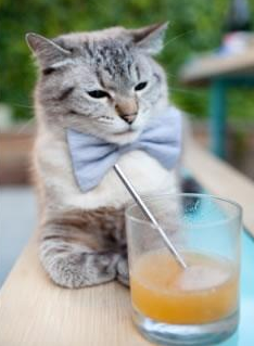 开云体育APP下载-绝杀双城记，当霍勒迪的锁链缠绕欧文的奇迹，体育精神的双生火焰