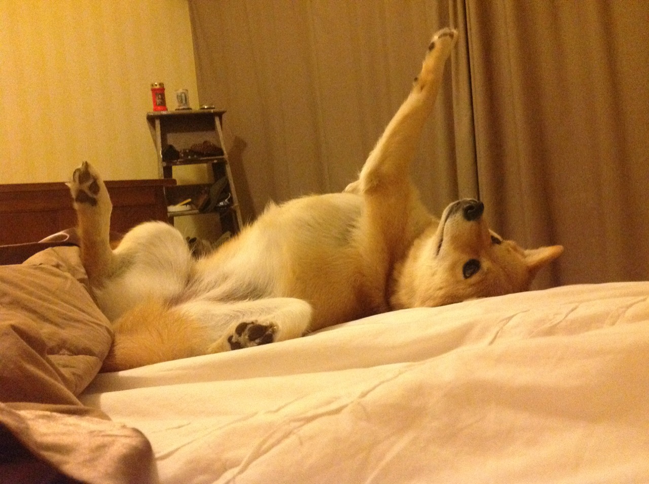 开云官网-硬骨头与手术刀,当马里血战映照凯塞多的冠军之心