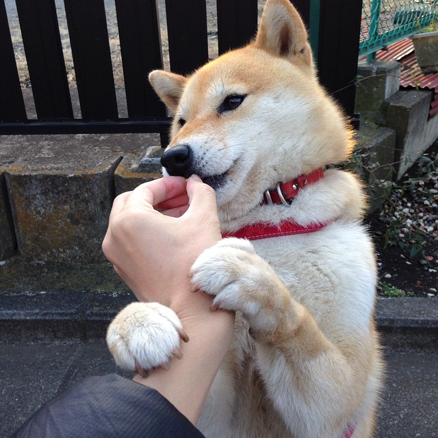 开云体育官方网站-王者之剑撕裂北境，布克狂澜独舞，国王正面碾压猛龙