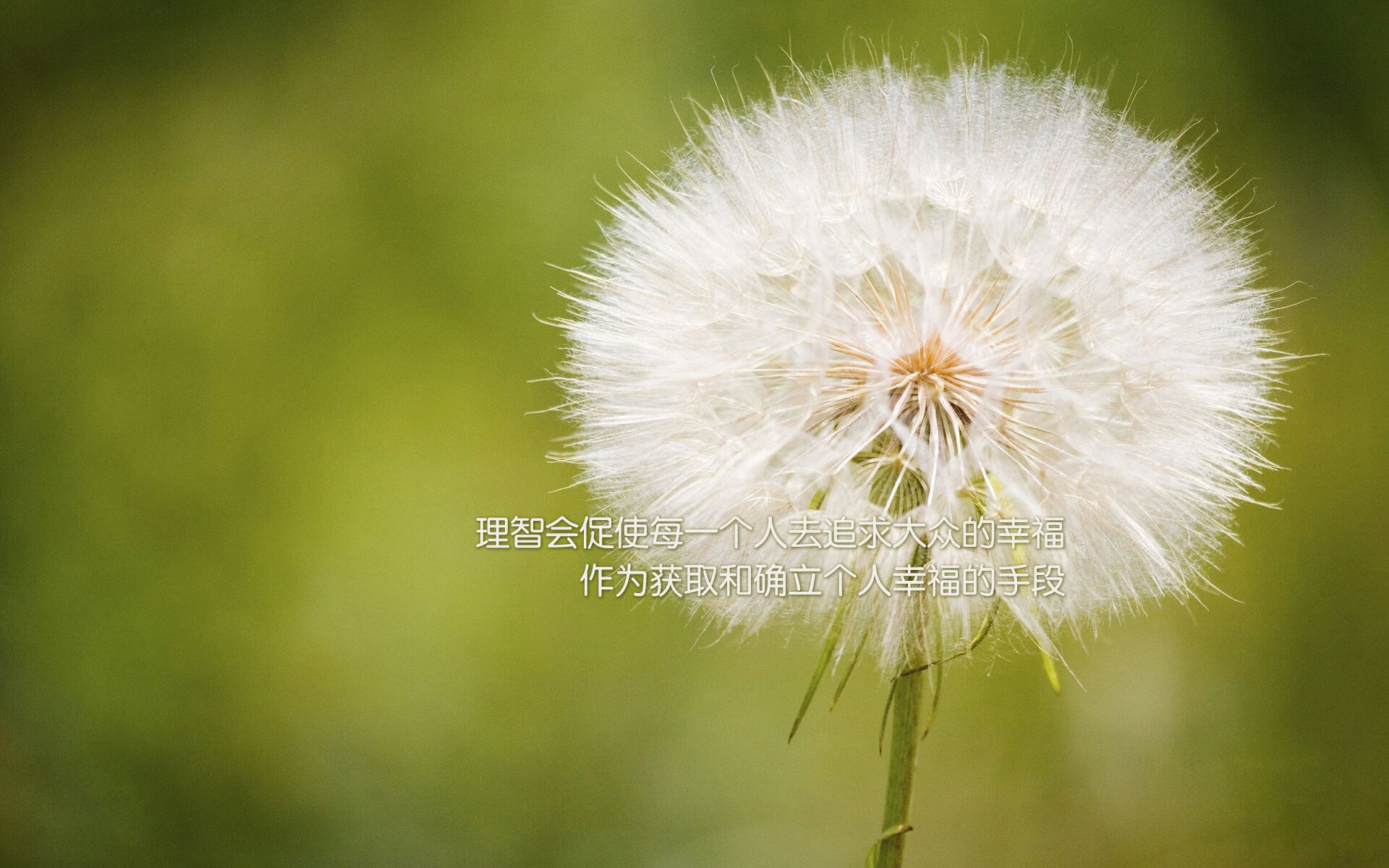 开云体育-黄喜灿破界之战，当克罗地亚风暴席卷里昂之夜